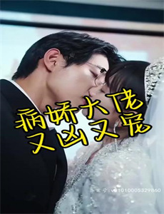 沃兰德探长系列：过量