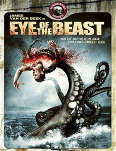 强者的新传说强